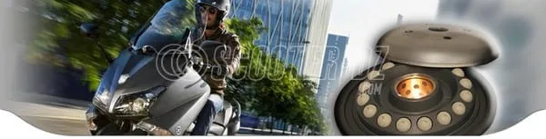 J. Costa Algérie : nouveautés et baisse des tarifs pour 2015