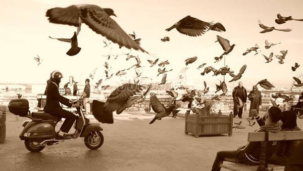 LML lance la "mode rétro" en pleines rues d'Alger