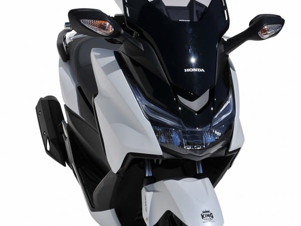 Le Honda Forza 125 habillé par Ermax