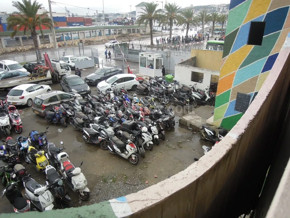 Alger : Les scootéristes lésés réclament une solution administrative