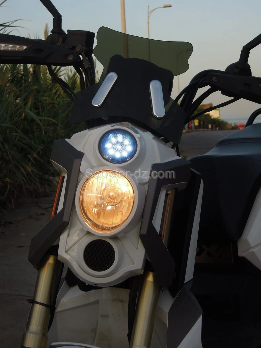 OMG SCOOTER : populaire avec son scooter Zoom 125 !