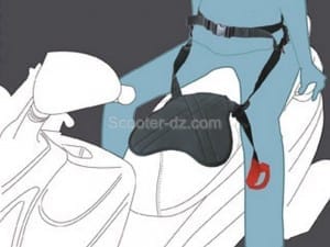 pan-belt-2012-veector