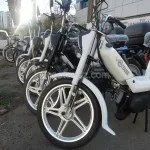 Peugeot Scooters Algérie : derniers jours de promo pour la Vogue !