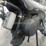 Peugeot Scooters Algérie : derniers jours de promo pour la Vogue !