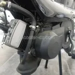 Peugeot Scooters Algérie : derniers jours de promo pour la Vogue !