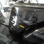 Peugeot Scooters Algérie : derniers jours de promo pour la Vogue !