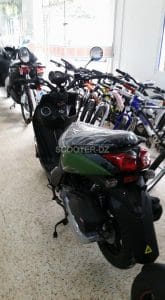LUOJIA Algérie : nouveau scooter 150 cc, le T-28 150