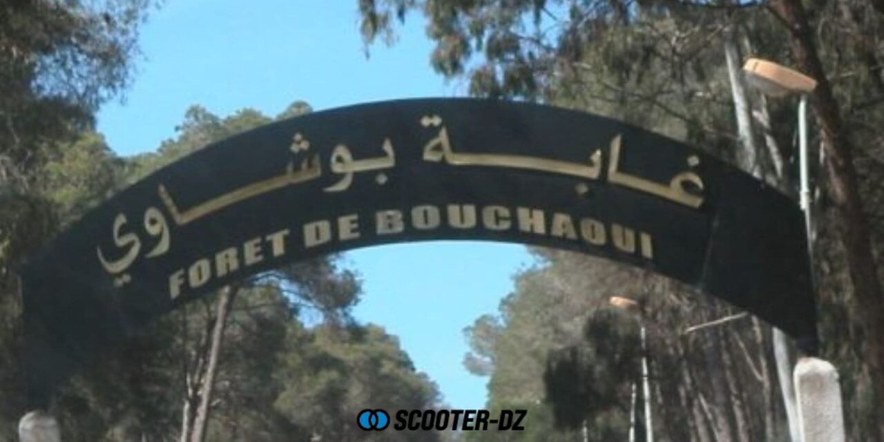 Forêt de Bouchaoui : les motos désormais interdites par arrêté de la wilaya